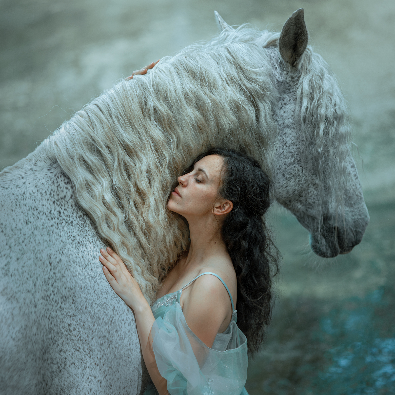 KLÁRA A GENERALE ELISABETT