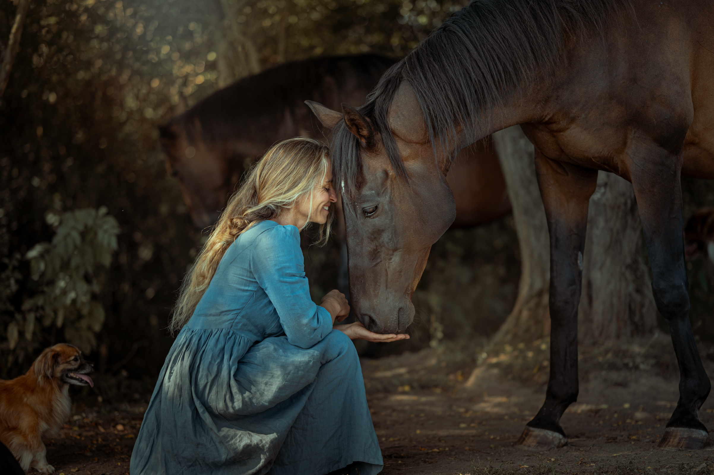 PATRICIE A TIUMEN, DOMOV PRO KONĚ Z.S.